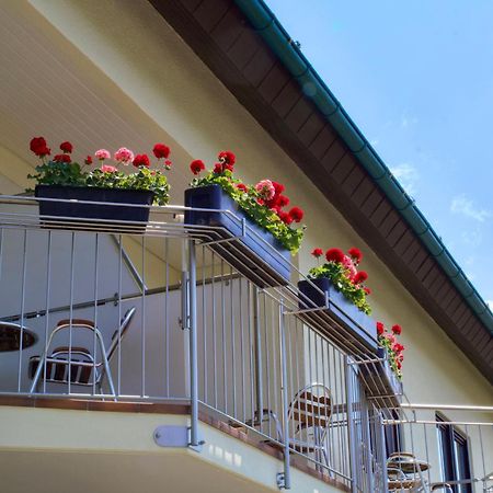 Hotel Garni Schacherer Mullheim  Esterno foto